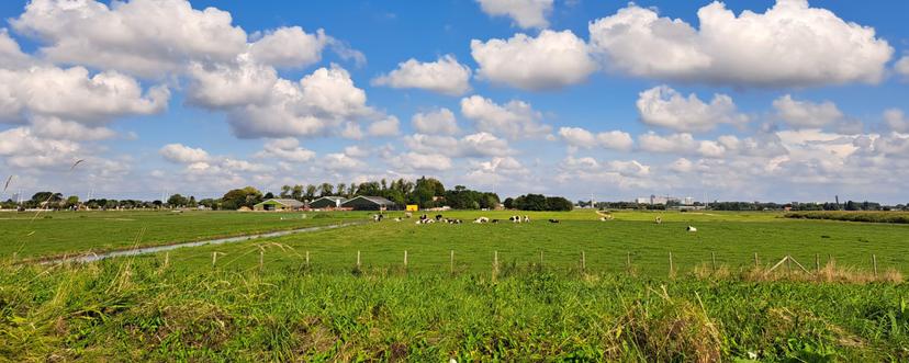 Midden-Delfland